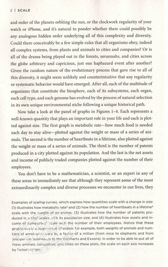 预售 规模：复杂世界的简单法则 英文原版 Scale  王小川、万维钢、尼尔·弗格森等联名推荐