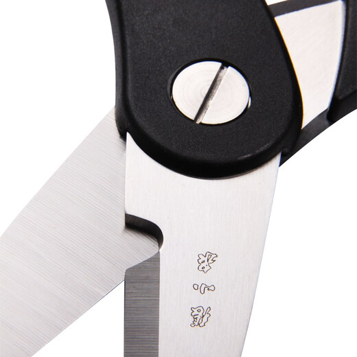 Zhang Xiaoquan multi-purpose kitchen scissors
