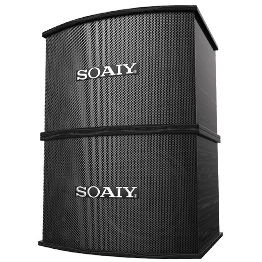Soaiy M6 H Card Bag Set Centa de cine en casa KTV Audio Conferencia Comercial Equipo de conferencia comercial Karaoke Amplificador Profesional Subwoofer Bluetooth Stitder