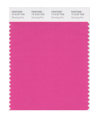 Pantone/Pantone/Collection Ropa y muebles para el hogar 17-1740 a 17-2601TCX Versión de algodón Tarjeta de color simple 17-2127X