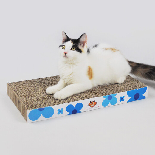 Tian Tian Cat Corrugated Cat Scratching Board Wear-Resistant Cat Claw Grinder Cat Toy Cat Supplies Set