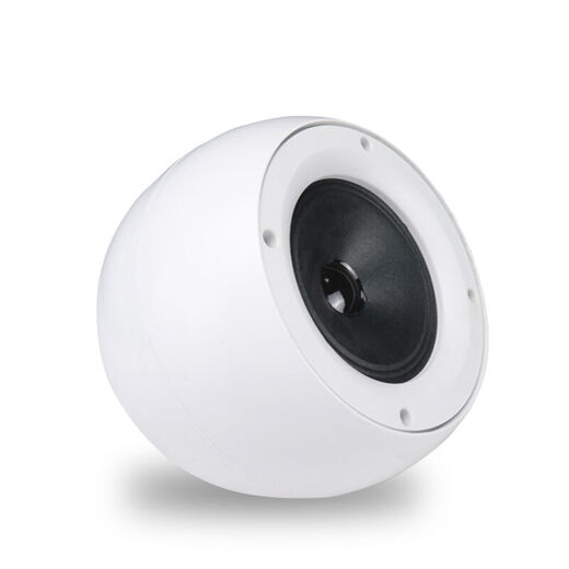 Soaiy DJ-1052 Plafonner l'ensemble de haut-parleurs de plafond haut-parleur suspendu le système de diffusion publique audio