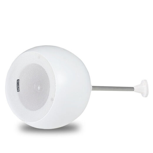 Soaiy DJ-1052 Plafonner l'ensemble de haut-parleurs de plafond haut-parleur suspendu le système de diffusion publique audio