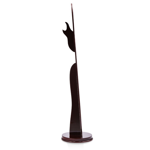 容源 穿衣镜 全身落地旋转试衣镜子带衣架 红棕色167*39cm（加厚底座可旋转）