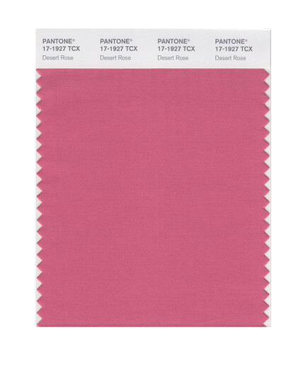 PANTONE/潘通/彩通 服裝家居 17-1740至17-2601TCX 棉布版单张色卡 17-1927X