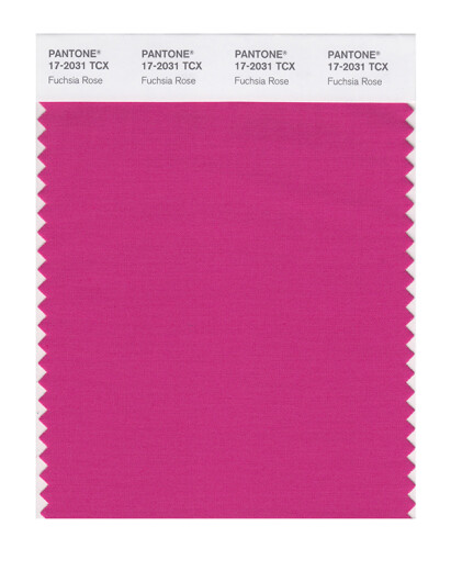 PANTONE/潘通/彩通 服裝家居 17-1740至17-2601TCX 棉布版单张色卡 17-2031X