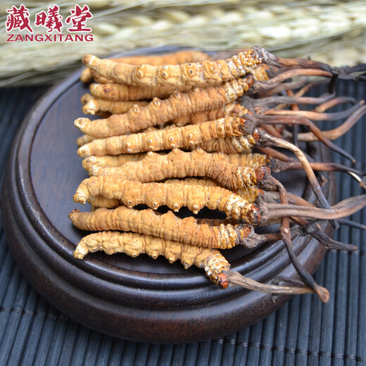 Zangxitang Cordyceps sinensis, Nagqu, Tibet, Cordyceps sinensis 4-5 roots 1 gram Cordyceps sinensis 4-5 roots 1 gram Interior 100 grams