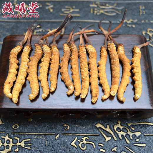 藏曦堂 西藏 那曲 冬虫夏草 3根1克 虫草 高海拔 冬虫夏草 3根1克 内装15克