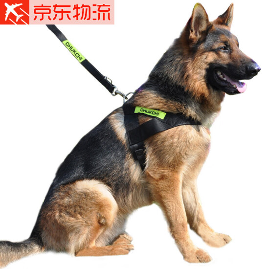 dog rope chain