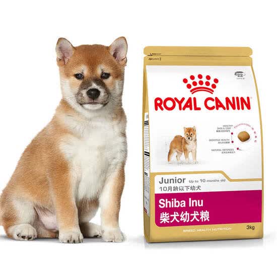 shiba dog food