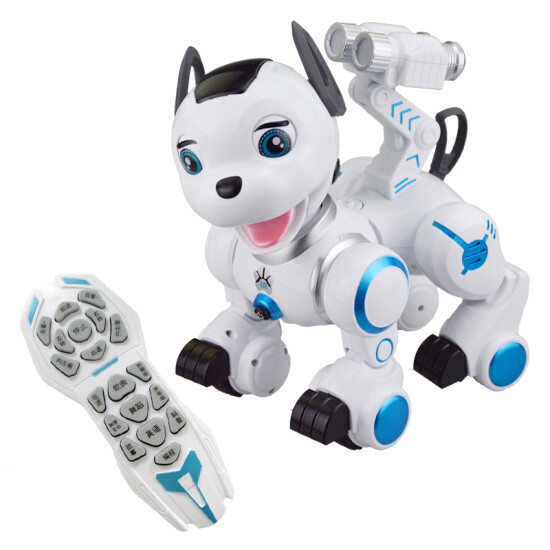 remote control robot boy