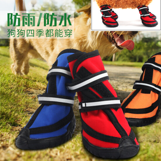 padded dog boots