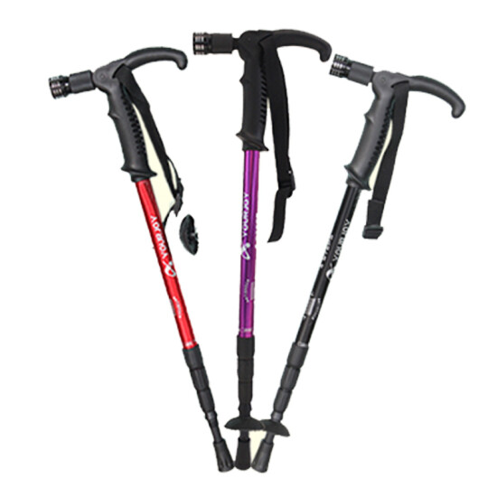 shock absorbing walking stick