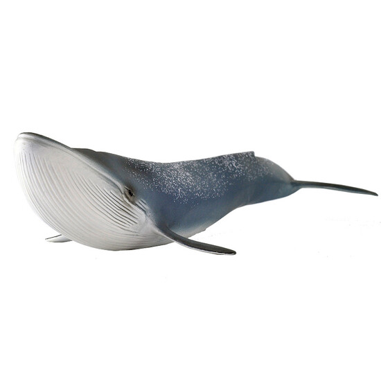 schleich blue whale
