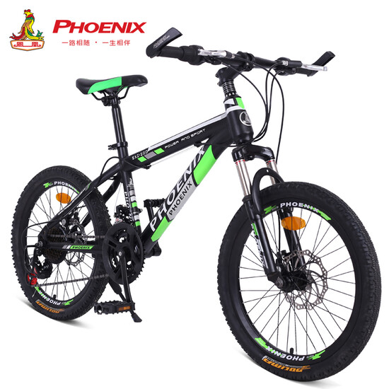 bicycle for 10 years child