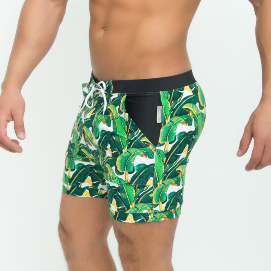 big 5 men's swimwear