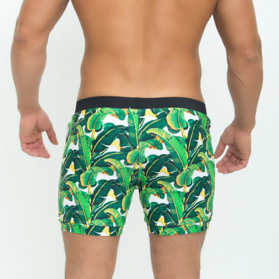 big 5 men's swimwear