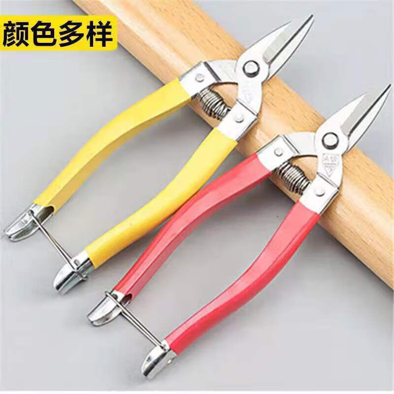 Denning stainless steel flat mouth straight head sugar orange citrus passion fruit tribute orange navel orange fruit picking scissors bud scissors 17cm