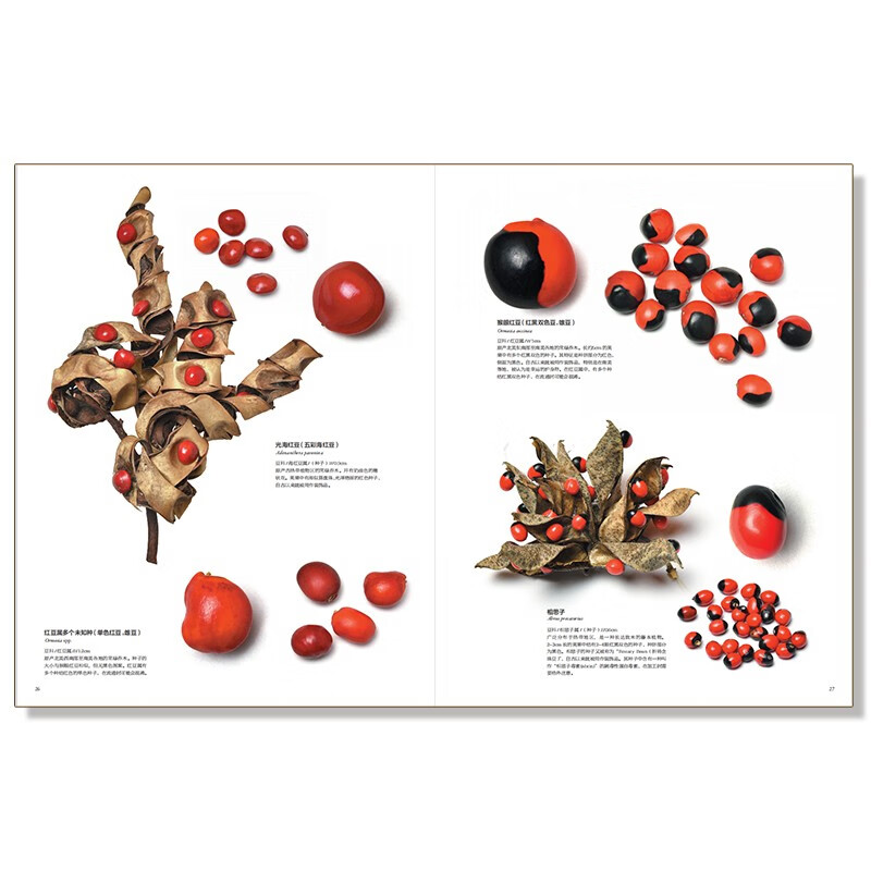 Infinitely Xiaoliang recommends an illustrated book of incredible fruit seeds in the world (free seed crystal pendant)