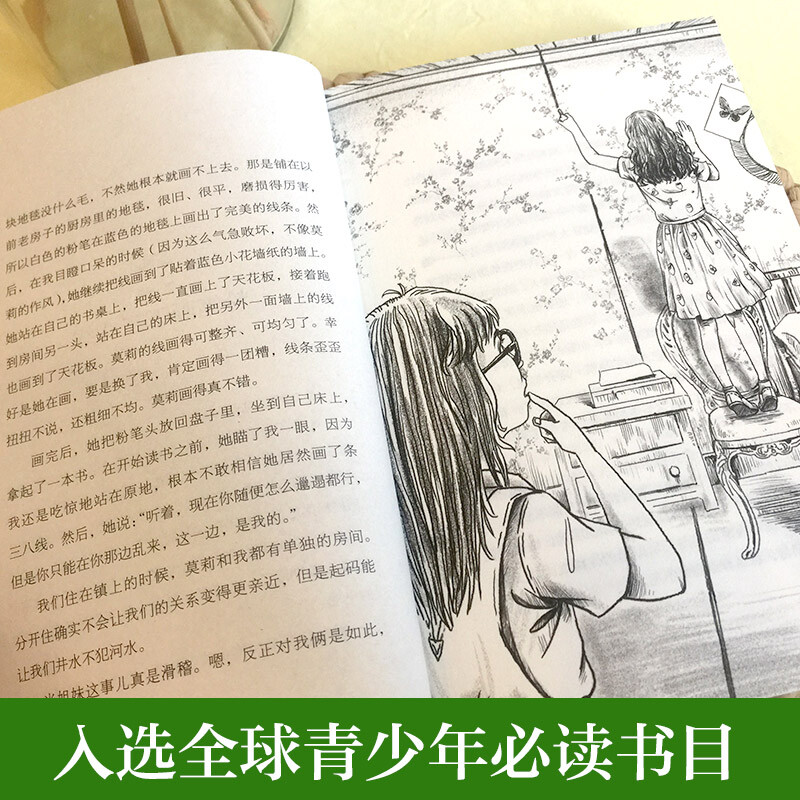 Ivy League International Award Novel The Last Summer, International Reading Association Children's Book Award, love, hope and other themes, must-read for elementary and middle schools in grades 3, 4, 5 and 6, International Children's Literature Award, classic classics extracurricular reading that affects children's life.