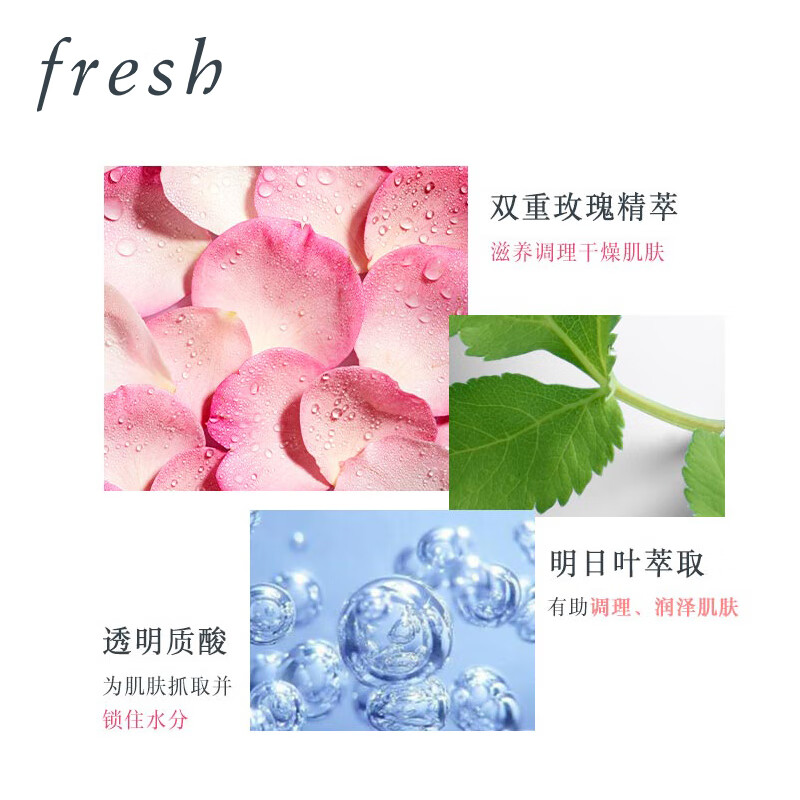 Fresh Damask Rose Moisturizing Water Set (Water 250ml + Cream 50ml) Birthday Gift for Women and Men