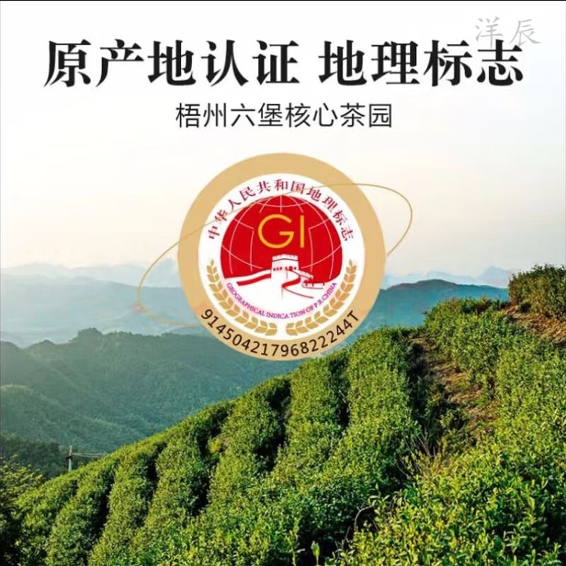 Wanglanchuan Wuzhou Guangxi Premium Liubao Tea Ten Years Old Dehumidified Black Tea Ripe Tea Boxed Gift Tea Wuzhou Specialty Eight Years Old Authentic Liubao Tea One Pound Paper Bag