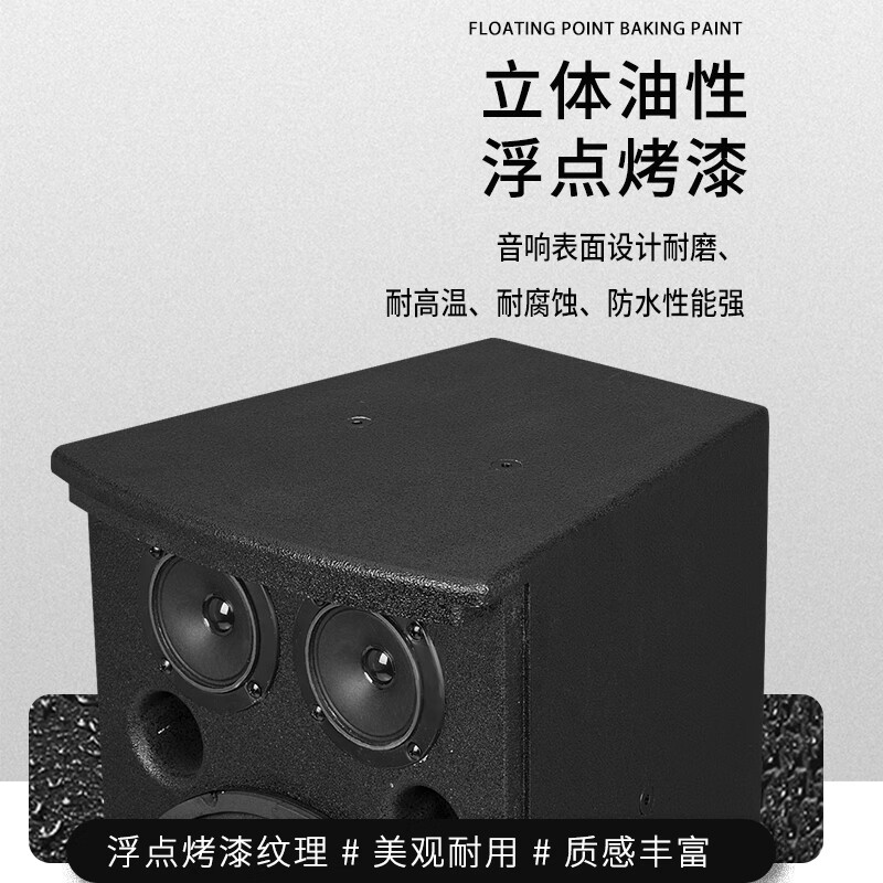 Depusheng D200 professional home KTV audio set 10-inch speaker home conference stage performance K song karaoke training campus 150W professional audio (single)