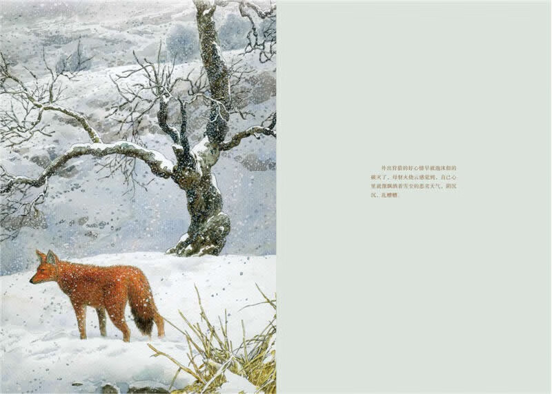 The new edition of the animal novel king Shen Shixi's collection of books (a total of 12 volumes in the blue and red special edition set) children's literature story books children's books extracurricular reading extracurricular books