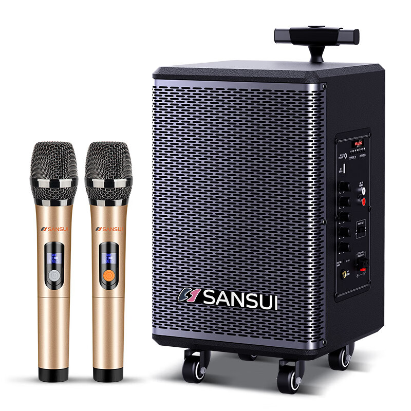 SANSUI Square Dance Smart Audio 8-inch Subwoofer Mobile Outdoor Karaoke Trolley Speaker Wireless Microphone Stall Speaker TE06 Electric Acoustic Guitar Folk Instrument Speaker
