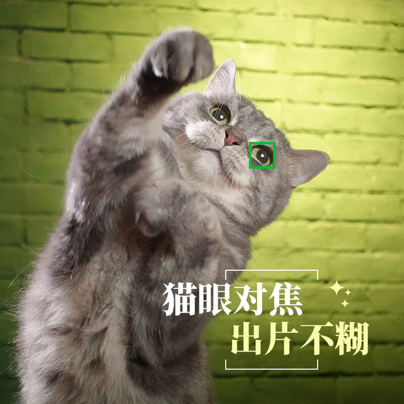 Sony (SONY) ZV-1 digital camera, about 20.1 million effective pixels, beauty shooting/strong focus/student entry/Vlog/4K video ZV1 black