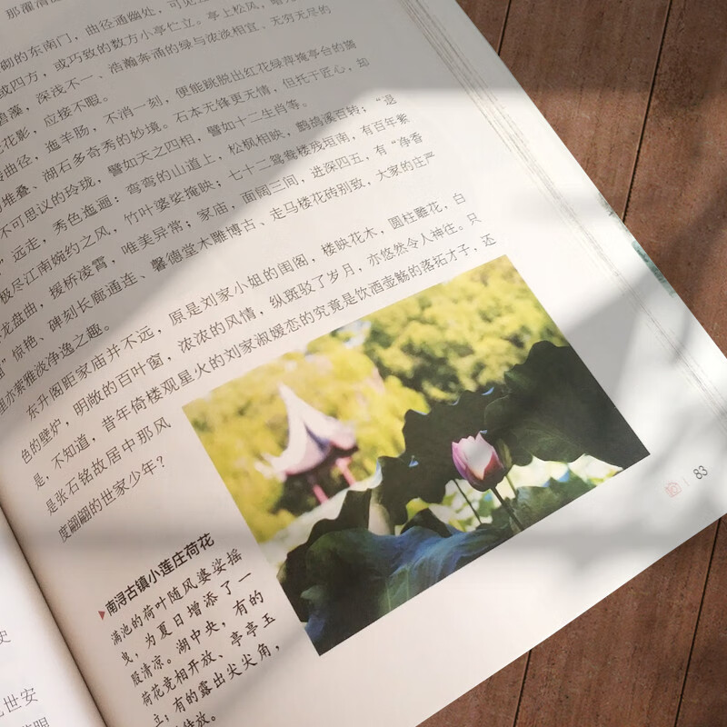 Pictures tell the world, National Geographic series, travel with poetry, 11-14 years old, summer homework, summer transition from primary school to junior high school, transition from primary school to junior high school during summer vacation