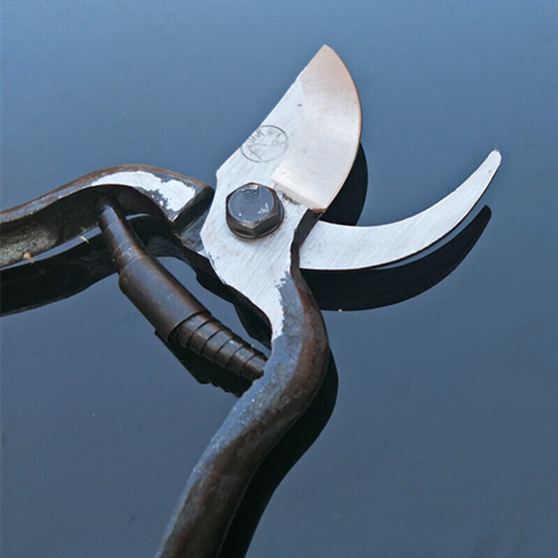 Shantou Lin Village old-fashioned Wangershan fruit tree scissors pruning shears gardening scissors labor-saving scissors thick branch pruning