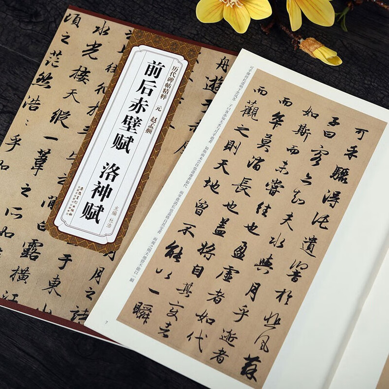 Chibi Fu before and after Zhao Mengfu, Luo Shen Fu, Yuan Dynasty, the essence of stele inscriptions, Zhao style running script calligraphy brush practice calligraphy, original inscriptions with simplified Chinese marginalia, Anhui Fine Arts Publishing House