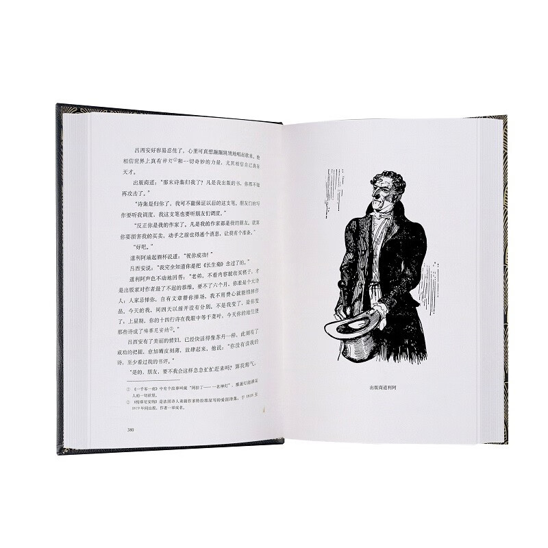 Translated Illustrated Collector's Edition Disillusionment 016 Novel