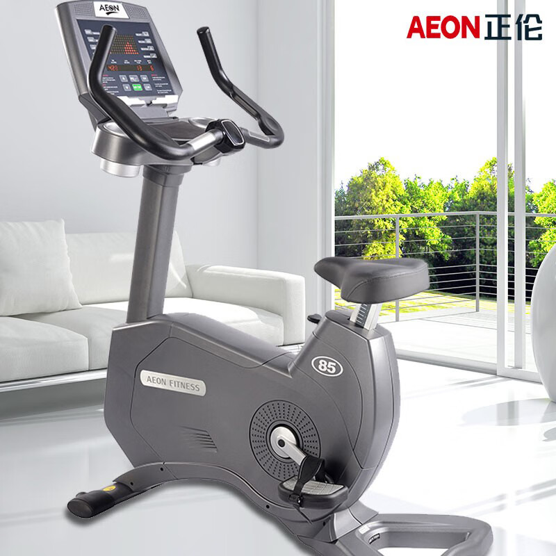 Zhenglun 85U vertical commercial self-powered exercise bike