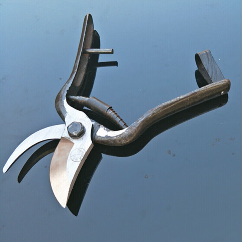 Shantou Lin Village old-fashioned Wangershan fruit tree scissors pruning shears gardening scissors labor-saving scissors thick branch pruning