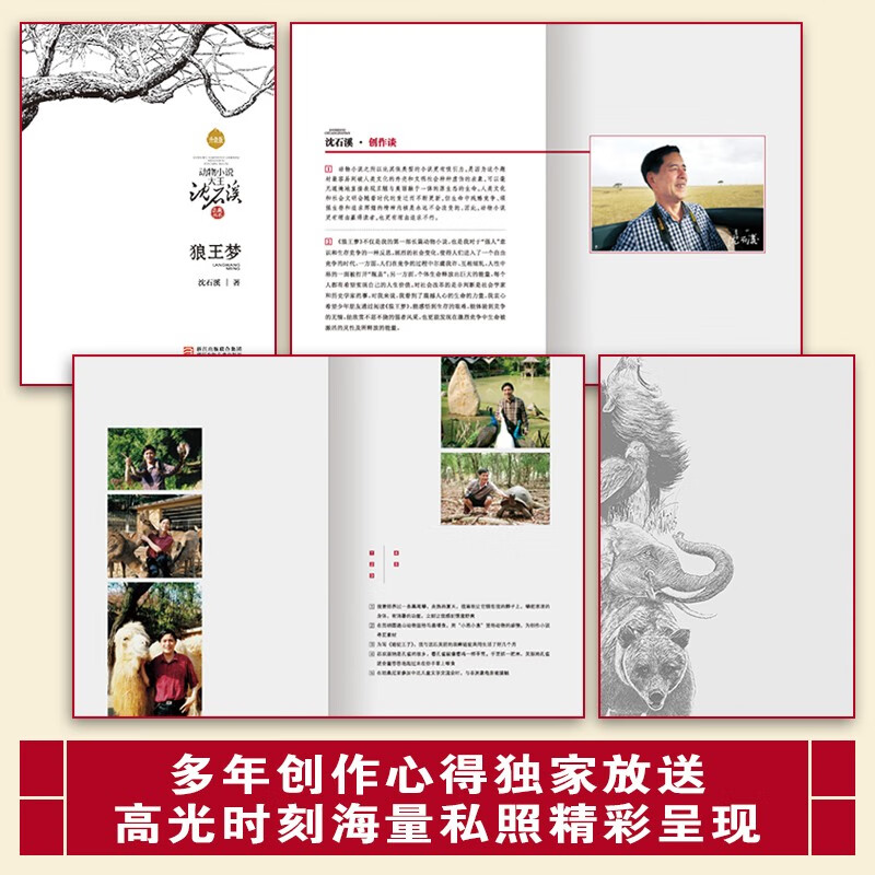The new edition of the animal novel king Shen Shixi's collection of books (a total of 12 volumes in the blue and red special edition set) children's literature story books children's books extracurricular reading extracurricular books