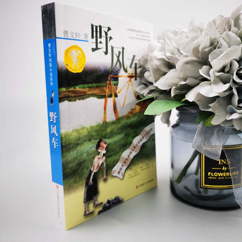 Cao Wenxuan's pure and beautiful novel Wild Windmill/The representative work of Cao Wenxuan's collection of short stories and short stories, winner of the International Andersen Award, focuses on the subtle and rich spiritual world of children and is widely praised.