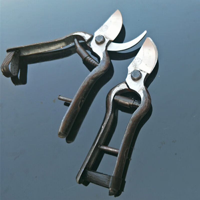 Shantou Lin Village old-fashioned Wangershan fruit tree scissors pruning shears gardening scissors labor-saving scissors thick branch pruning