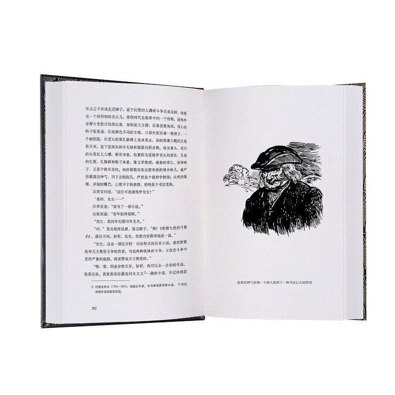 Translated Illustrated Collector's Edition Disillusionment 016 Novel