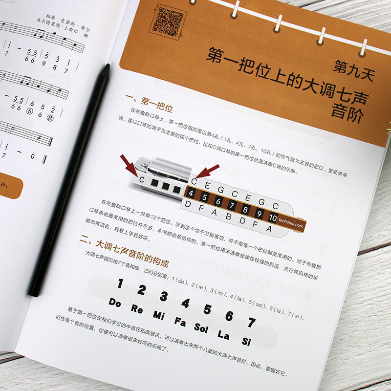 Blues Harmonica January Pass