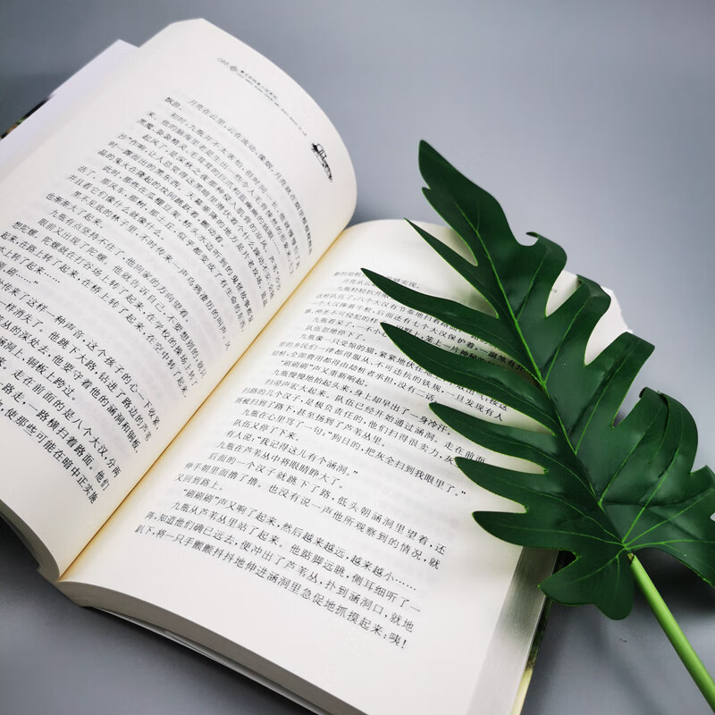 Cao Wenxuan's pure and beautiful novel Wild Windmill/The representative work of Cao Wenxuan's collection of short stories and short stories, winner of the International Andersen Award, focuses on the subtle and rich spiritual world of children and is widely praised.