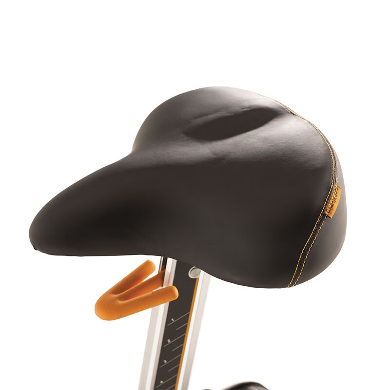 JOHNSON exercise bike U50 commercial gym upright exercise bike luxury high-end fitness equipment villa selection U50 XR blue screen version