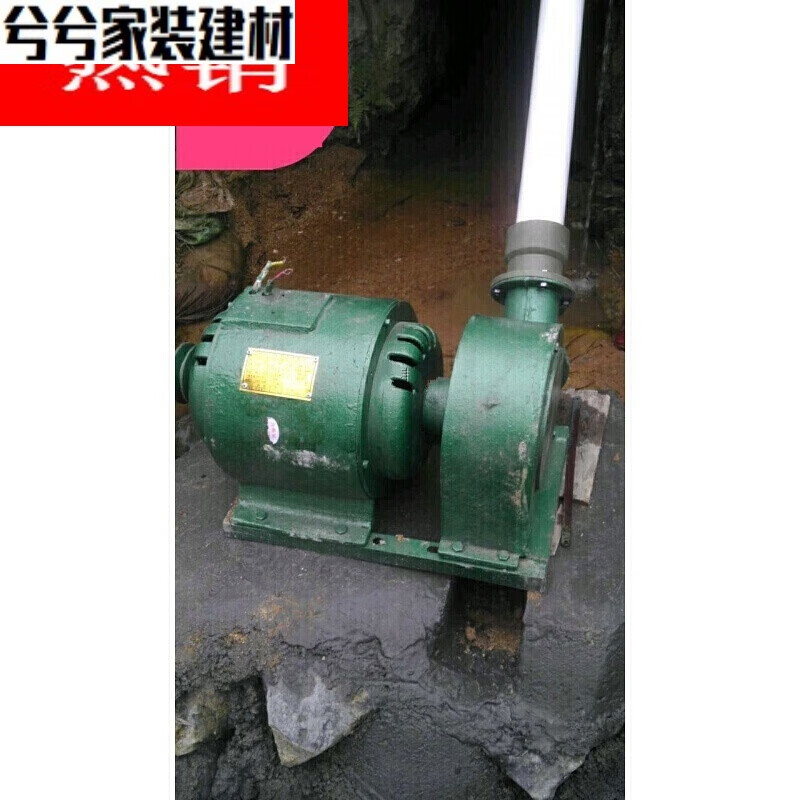 Yichen customized small hydroelectric generator generator high power 220V600W3000W permanent magnet brushless pure copper wire punch 0.6KW (pure copper wire)