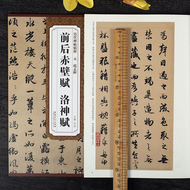 Chibi Fu before and after Zhao Mengfu, Luo Shen Fu, Yuan Dynasty, the essence of stele inscriptions, Zhao style running script calligraphy brush practice calligraphy, original inscriptions with simplified Chinese marginalia, Anhui Fine Arts Publishing House