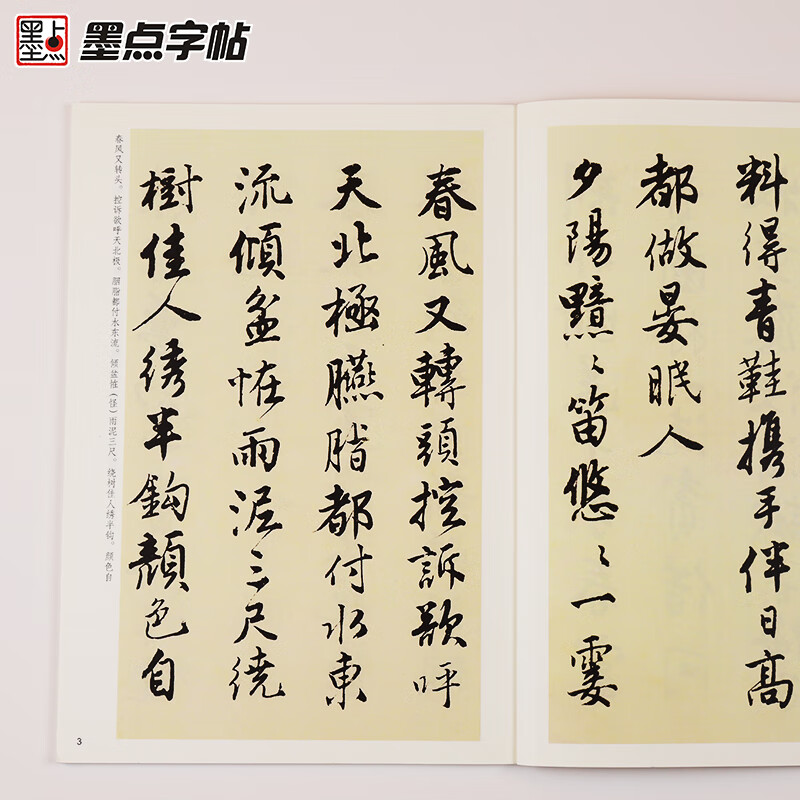 Ink dot copybook, Tang Yin Shu's Falling Flowers Poetry Album, Brush Calligraphy Original Copybook, Traditional Chinese Annotation, Selected Tang Bohu's Stele Calligraphy