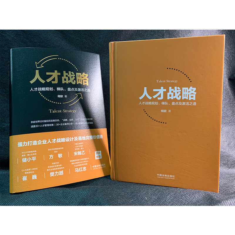 Talent strategy Talent strategic planning, echelon, inventory and activation methods (Easter egg version and author's signed version, limited edition and randomly sent)