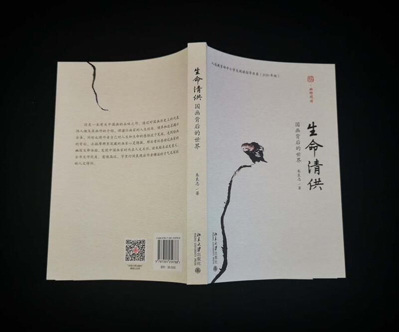 Qingdong for Life, The World Behind Chinese Painting, Zhu Liangzhi, Selected in the National Reading Guidance Book for Primary and Secondary School Students, Extracurricular Reading, Summer Reading, Student Reading