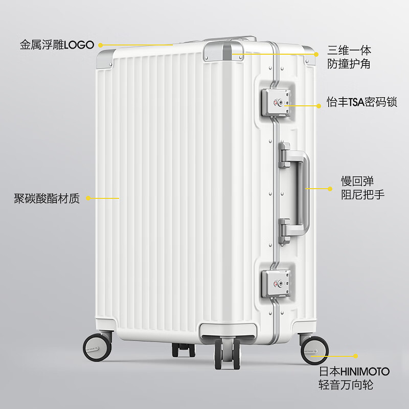 Roaming suitcase trolley case large capacity men's and women's high-looking travel luggage password case leather case 24-inch champagne gun