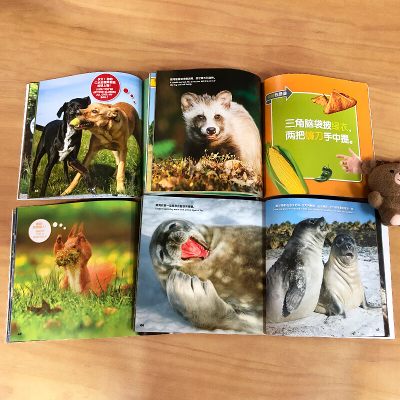 National Geographic Wisdom Encyclopedia Chinese and English bilingual books (with audio) (set of 6 volumes in total)